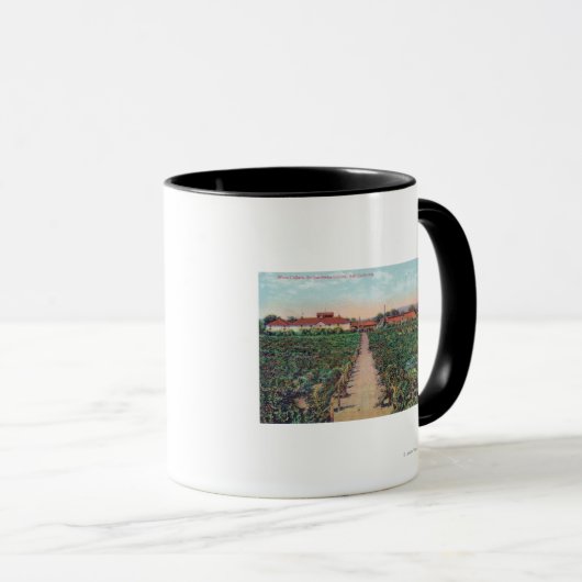 Luftbild der Weinberge und Weinkeller Tasse (VorderseiteRechts)