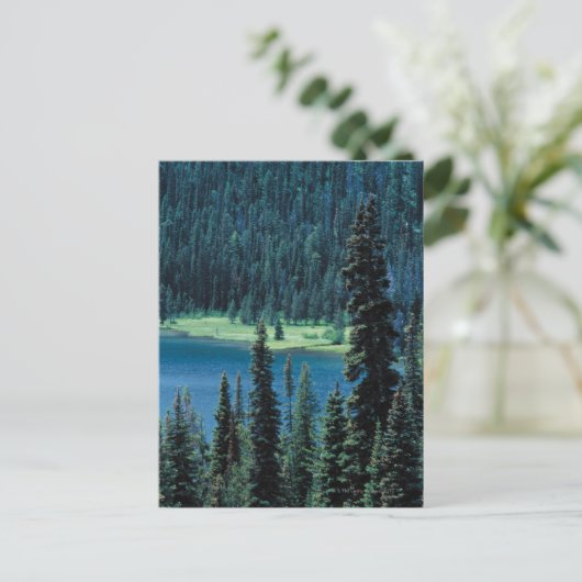 Luftbild des Grand Teton Nationalparks , Postkarte (Stehend Vorderseite)