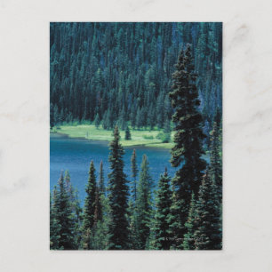 Luftbild des Grand Teton Nationalparks , Postkarte