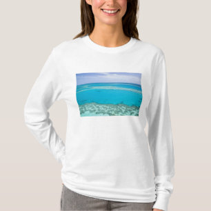 Luftbild des Great Barrier Reef von T-Shirt