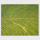 Luftbild des grünen Freifeldes Geschenkpapier (Flach)