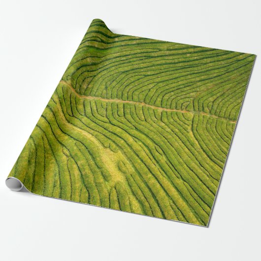 Luftbild des grünen Freifeldes Geschenkpapier (Ungerollt)