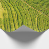 Luftbild des grünen Freifeldes Geschenkpapier (Ecke)