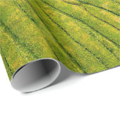 Luftbild des grünen Freifeldes Geschenkpapier (Rolleneckpunkt)