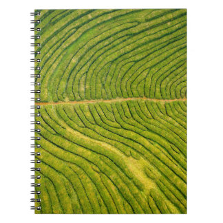 Luftbild des grünen Freifeldes Notizblock