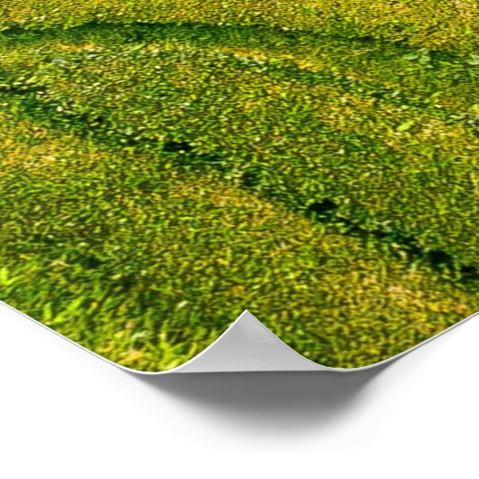 Luftbild des grünen Freifeldes Poster (Ecke)