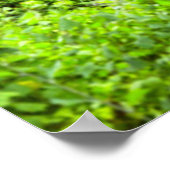 Luftbild des indigenen Waldes, Knysna-Amatole Poster (Ecke)