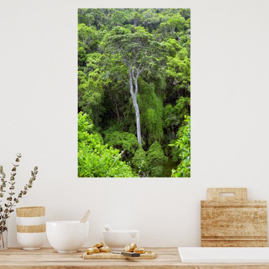 Luftbild des indigenen Waldes, Knysna-Amatole Poster (Küche)