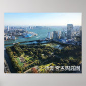 Luftbild des japanischen Gartens Poster (Vorne)