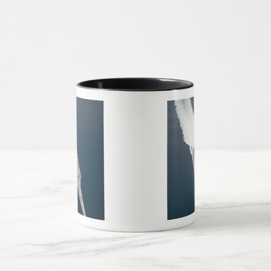 Luftbild des Küstenkampfschiffs Tasse (Zentrum)