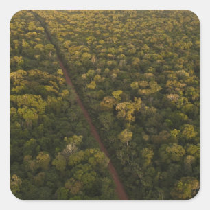 Luftbild des Regenwaldes. Iwokrama Reserve, 2 Quadratischer Aufkleber