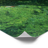 Luftbild des russischen Flusses auf der Rose des C Poster (Ecke)