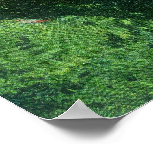 Luftbild des russischen Flusses auf der Rose des C Poster (Ecke)