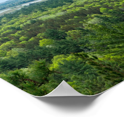 Luftbild des Schwarzen Staat Poster (Ecke)