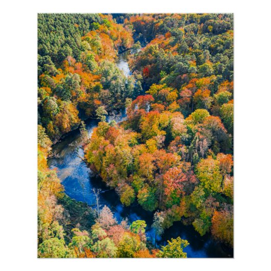 Luftbild des Winding River Sonniger Herbstwald Poster (Vorderseite)