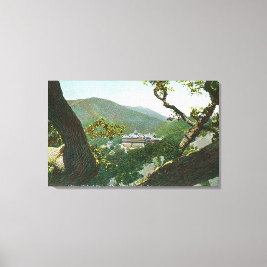 Luftbild des Witter Medical Springs Hotel Leinwanddruck (Vorderseite)