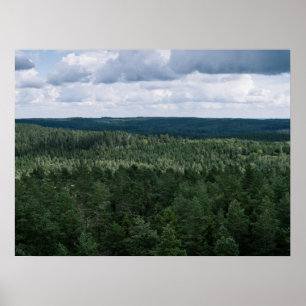Luftbild Grüne Nordische Waldlandschaftsfotografie Poster
