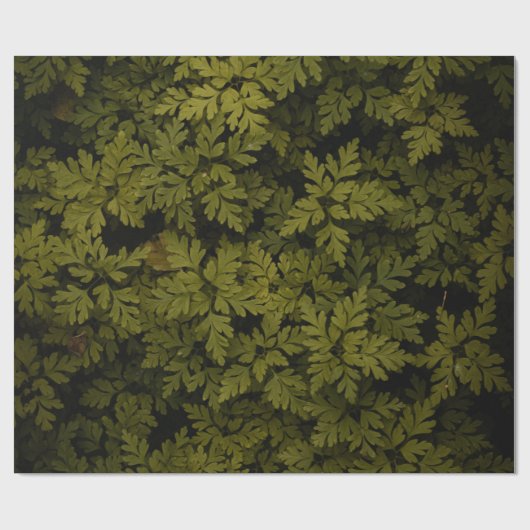 Luftbild grüne Pflanze Geschenkpapier (Flach)