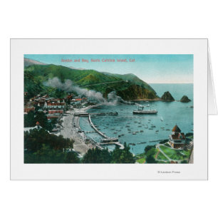 Luftbild von Avalon und Bay