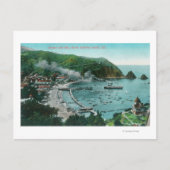 Luftbild von Avalon und Bay Postkarte (Vorderseite)