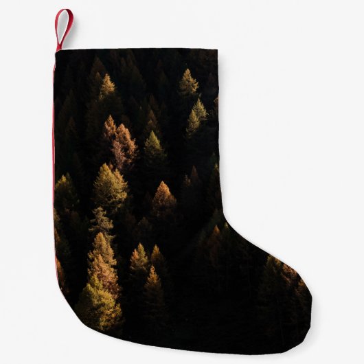 Luftbild von Kiefern Kleiner Weihnachtsstrumpf (Vorderseite)