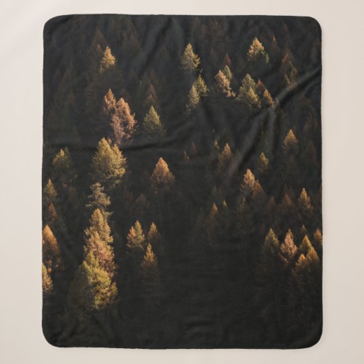 Luftbild von Kiefern Sherpadecke (Vorderseite)
