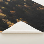 Luftbild von Kiefern Sherpadecke (3/4)
