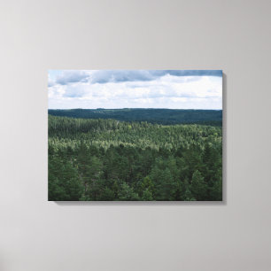 Luftbild Wald Und Wolken Natur Landschaftsfoto Leinwanddruck
