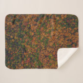 Luftbildaufnahmen von Wäldern Sherpadecke (Vorderseite (Horizontal))