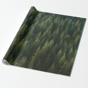 LUFTBILDER VON WALD GESCHENKPAPIER