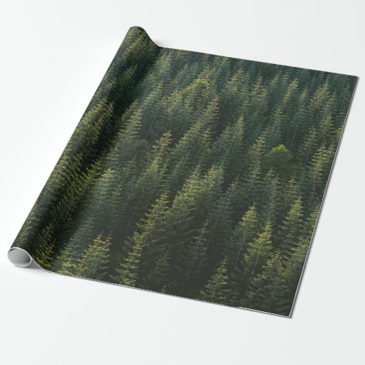 LUFTBILDER VON WALD GESCHENKPAPIER (Ungerollt)