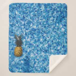 Luftbildfotografie von Ananas auf dem Körper des W Sherpadecke