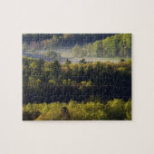 Luftblick auf den Wald in der Höhle Cove, Grosser Puzzle (Horizontal)