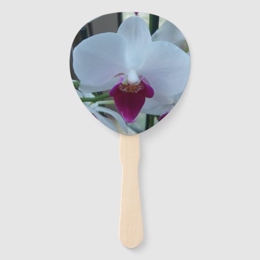 Lüfter mit weißer und lila Orchidee Fächer (Vorderseite)