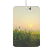 Lufterfrischer (Vorderseite)