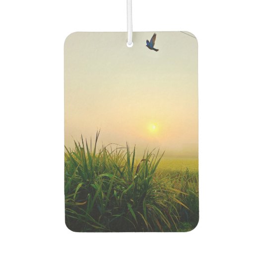 Lufterfrischer (Vorderseite)