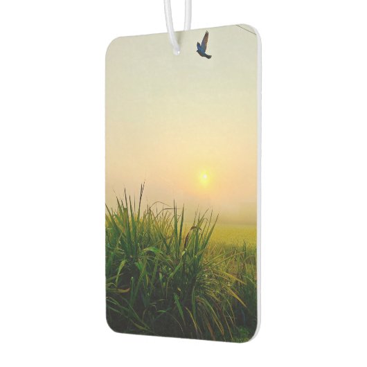 Lufterfrischer (Links)