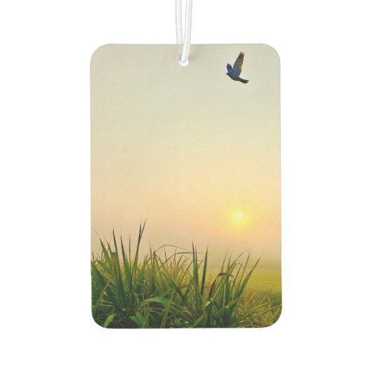 Lufterfrischer (Rückseite)