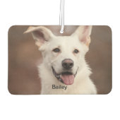 Lufterfrischer | Benutzerdefiniertes Foto, Text, L (Rückseite)