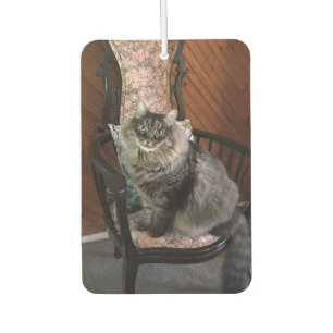 Lufterfrischer König-Cat Kimber Car