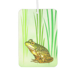 Lufterfrischer Prinzessin-Charming Frog