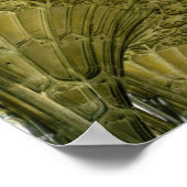 Lüftergewölbe im Kloster Poster (Ecke)