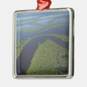 Luftfahrt des Archipels von Anavilhanas, überschwe Ornament Aus Metall (Links)