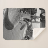 Luftfahrt-Ikone Sherpadecke (Vorderseite (Horizontal))