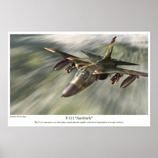 Luftfahrt-Kunstposter " F-111 Aardvark" Poster (Vorne)