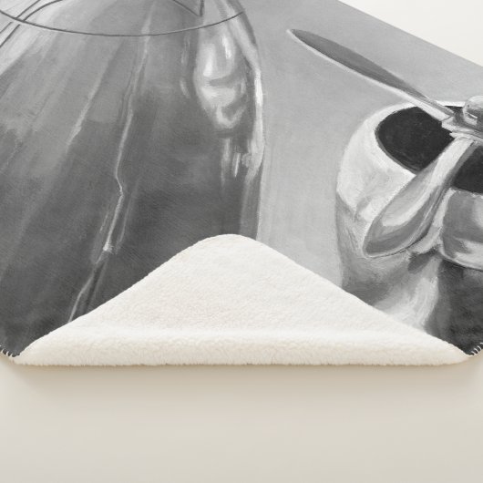 Luftfahrtzeichen: Nach oben Nahe Ansicht Sherpadecke (3/4)