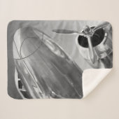 Luftfahrtzeichen: Nach oben Nahe Ansicht Sherpadecke (Vorderseite (Horizontal))