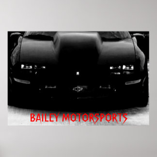 LUFTMOTORSPORTE 95Z28 POSTER