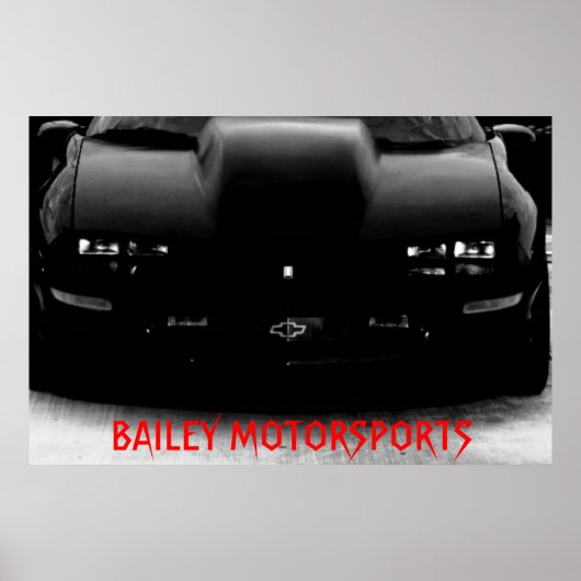 LUFTMOTORSPORTE 95Z28 POSTER (Vorne)