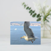 Luftpost Seagull Postkarte (Stehend Vorderseite)